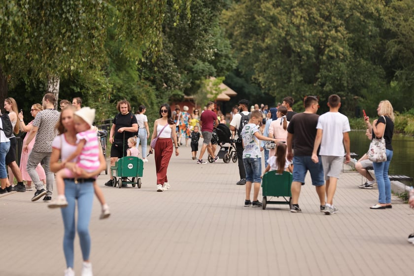 Wrocławskie ZOO. 27 lipca 2024 roku