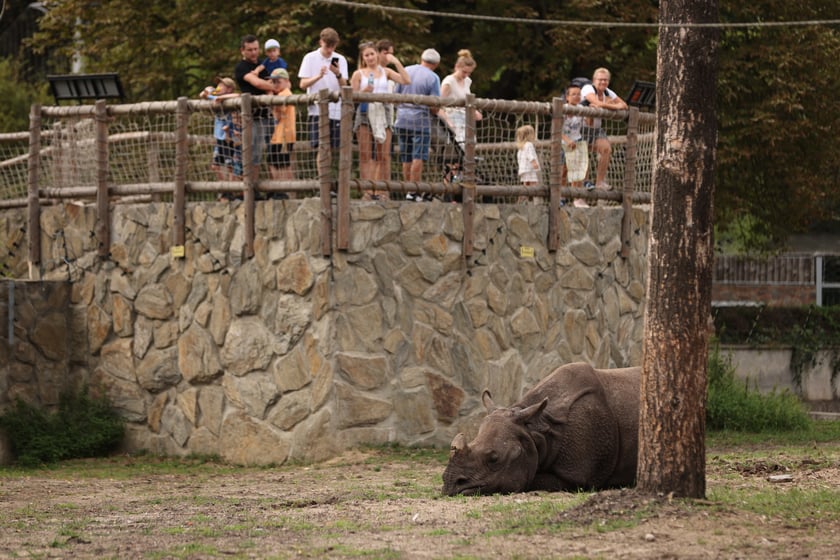 Wrocławskie ZOO. 27 lipca 2024 roku
