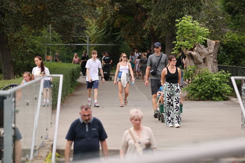 Wrocławskie ZOO. 27 lipca 2024 roku