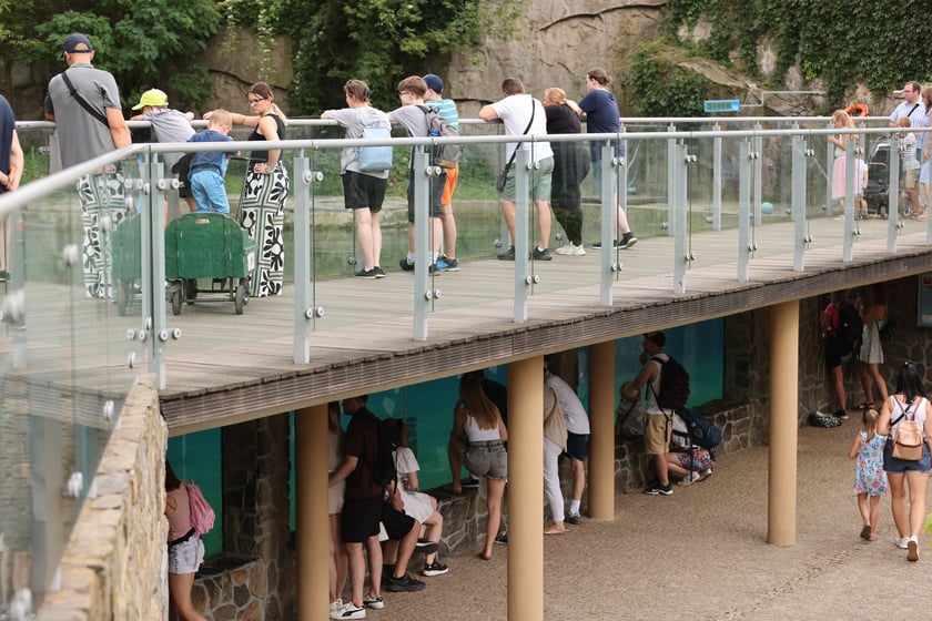 Wrocławskie ZOO. 27 lipca 2024 roku