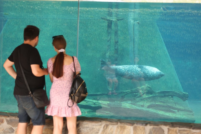Wrocławskie ZOO. 27 lipca 2024 roku