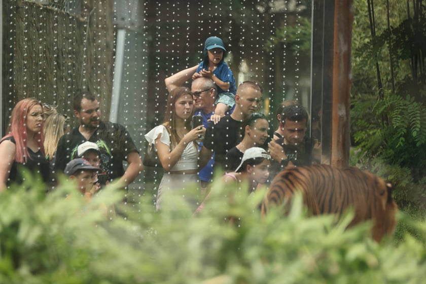 Wrocławskie ZOO. 27 lipca 2024 roku