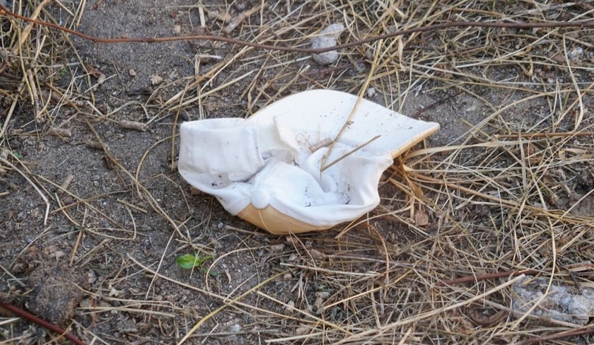Przedmiot  znaleziony na wybiegu zwierząt