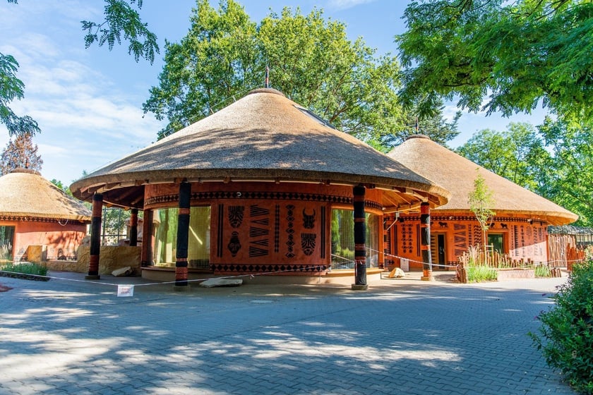 Nowa Lwiarnia w zoo Wrocław