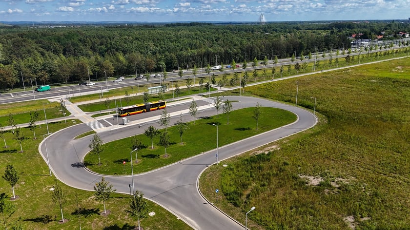 Młode drzewa przy ul. Kosmonautów