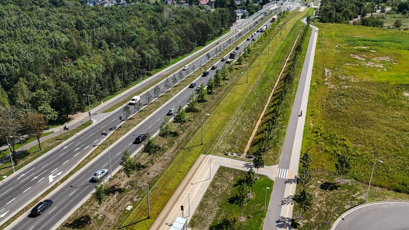 Młode drzewa przy ul. Kosmonautów