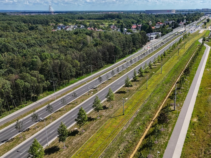 Młode drzewa przy ul. Kosmonautów