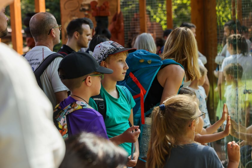 Uroczyste otwarcie nowej Lwiarni we wrocławskim zoo