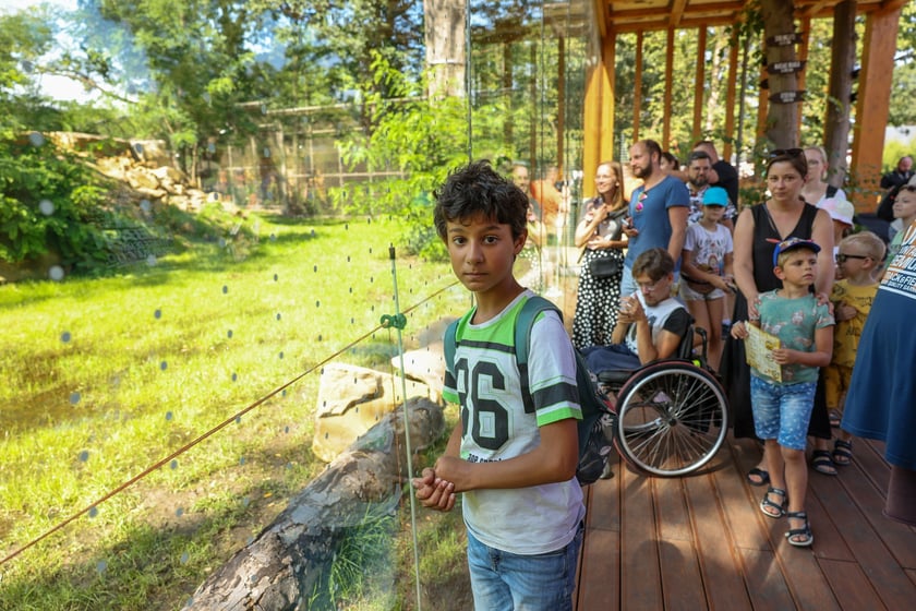 Uroczyste otwarcie nowej Lwiarni we wrocławskim zoo