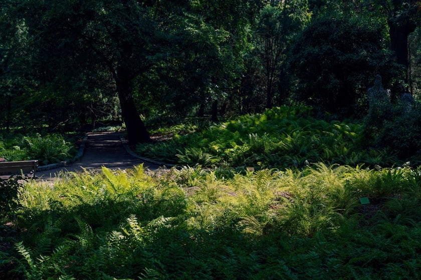 Ogród Botaniczny UWr