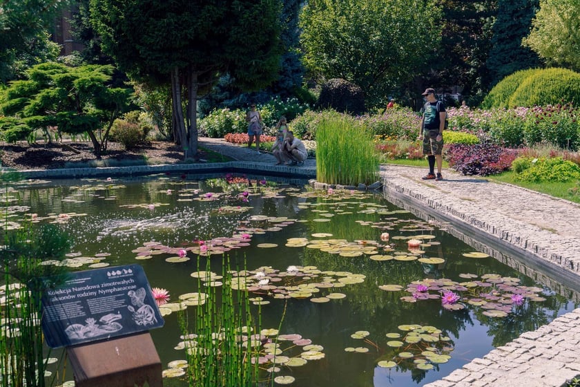 Ogród Botaniczny UWr