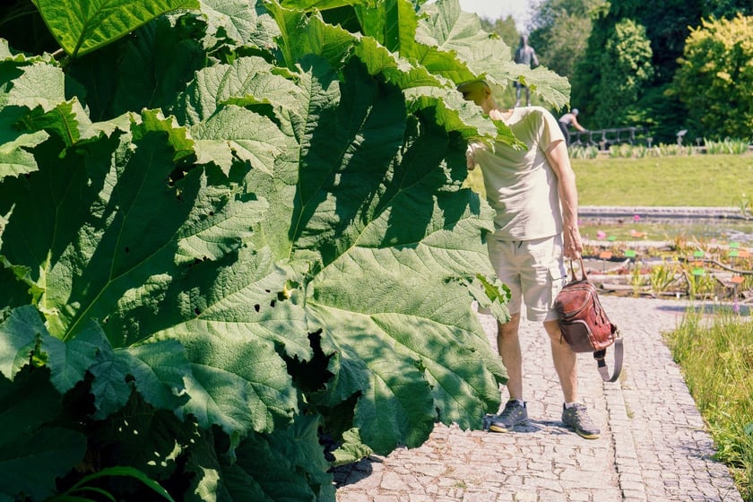 Ogród Botaniczny UWr