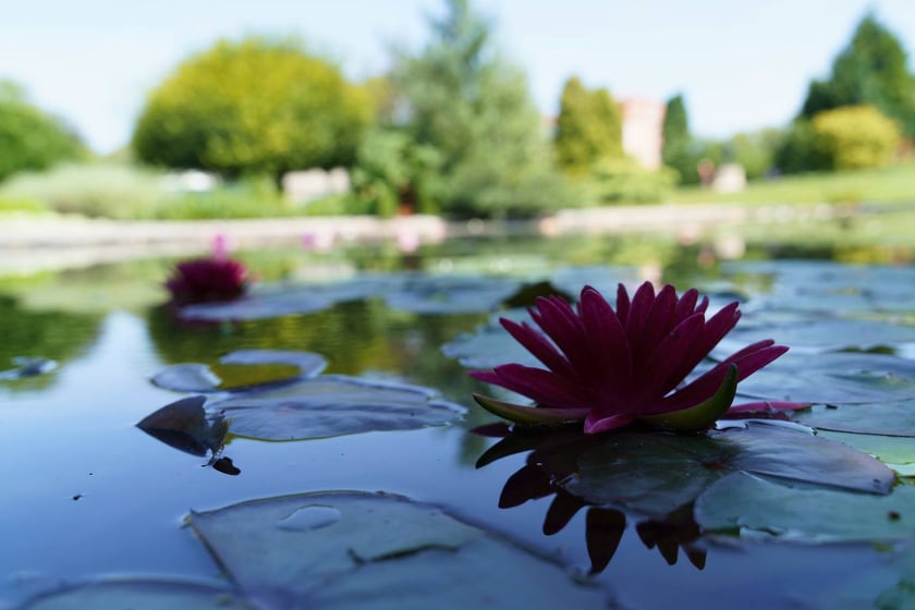 Ogród Botaniczny UWr