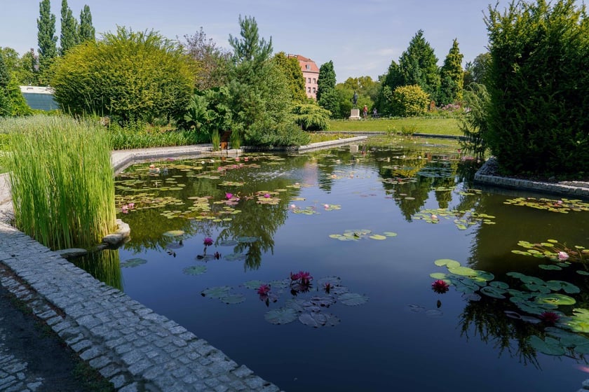Ogród Botaniczny UWr
