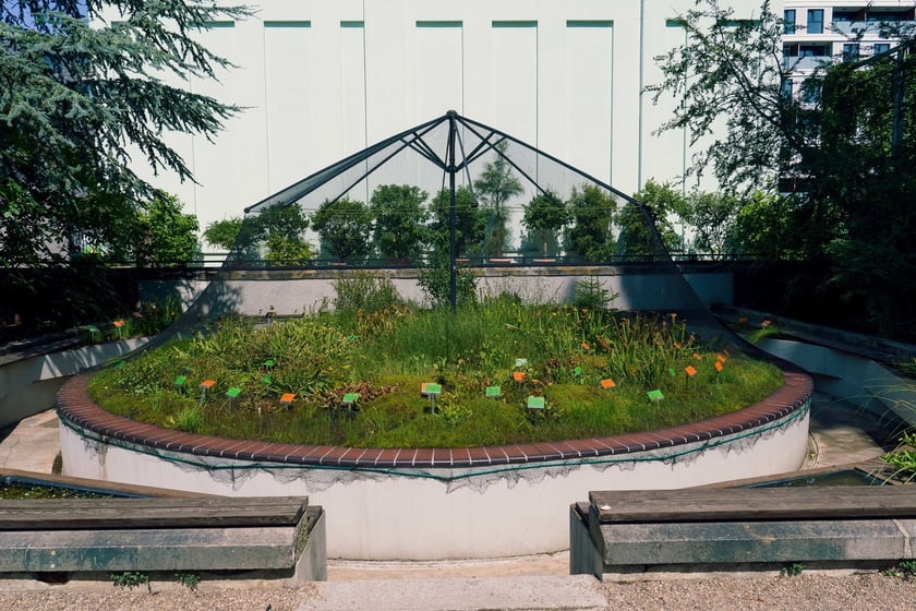 Ogród Botaniczny UWr