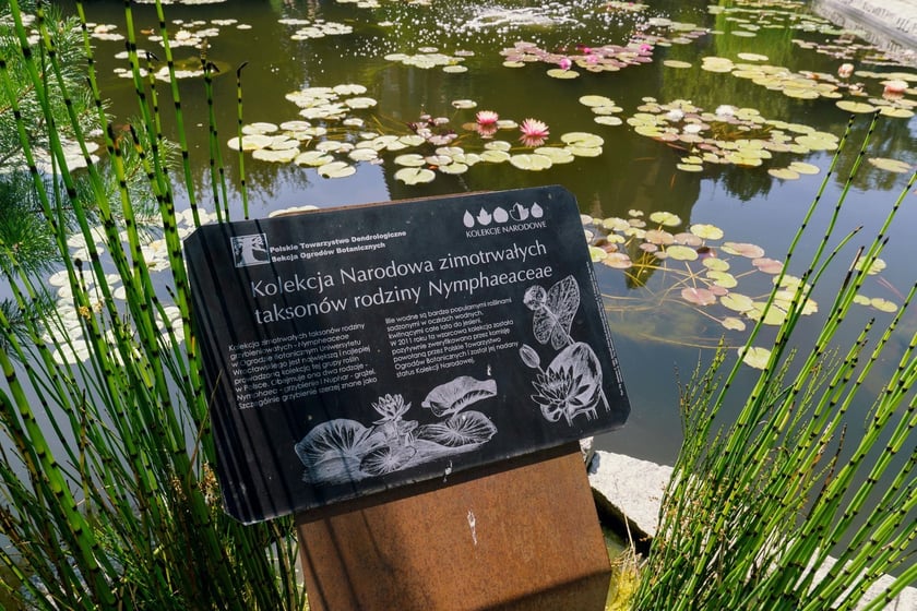Ogród Botaniczny UWr