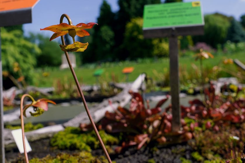 Ogród Botaniczny UWr