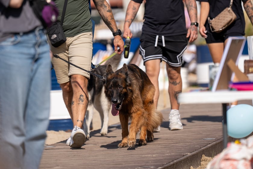 Wydarzenie zorganizowane przez Ekostraż w Marinie Kleczków
