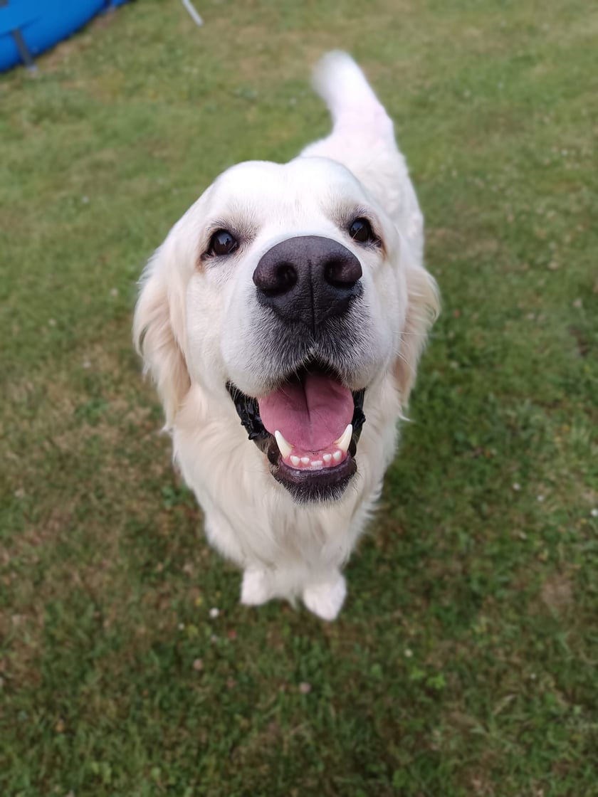 Barry