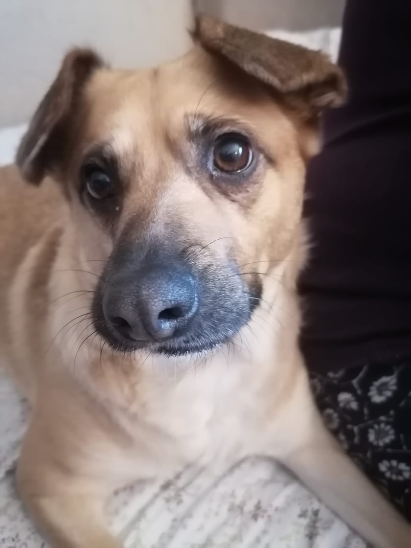 Carmelka