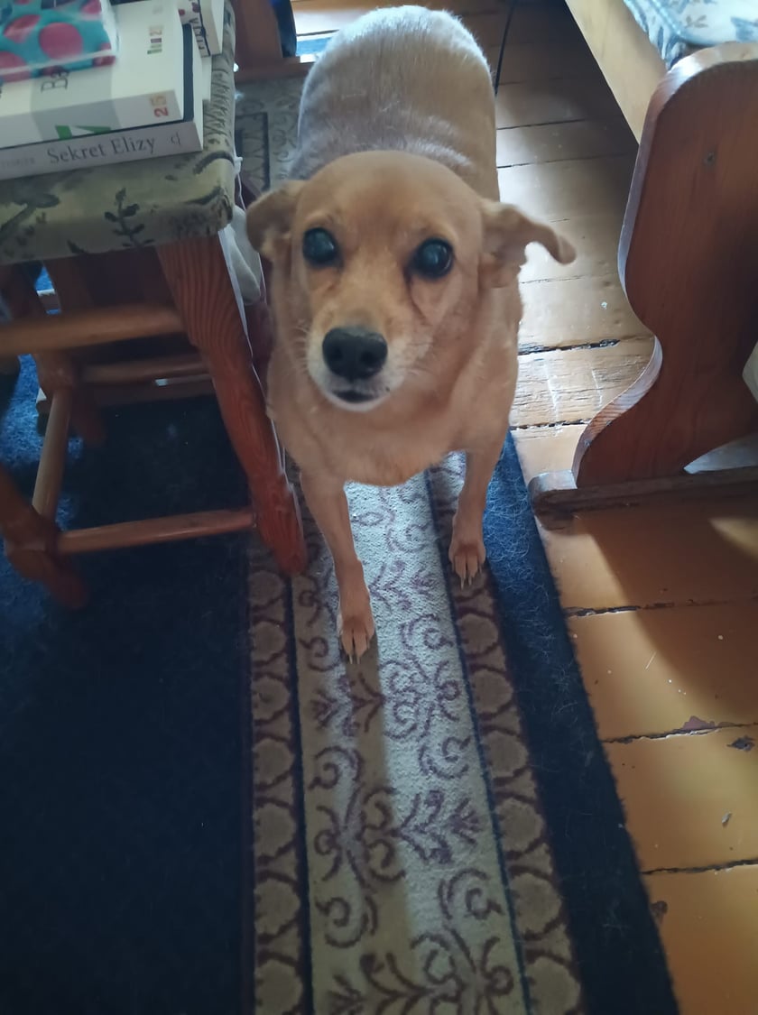 Emi
