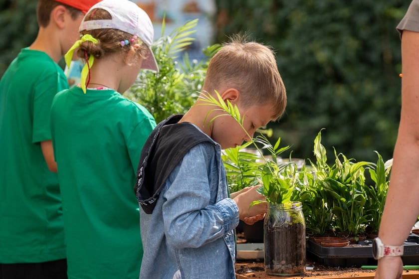 Piknik w PSZOK przy Michalczyka, 1 września 2024