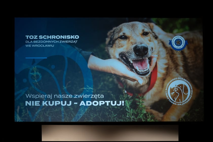 Premiera spotu adopcyjnego wrocławskiego schroniska dla bezdomnych zwierząt
