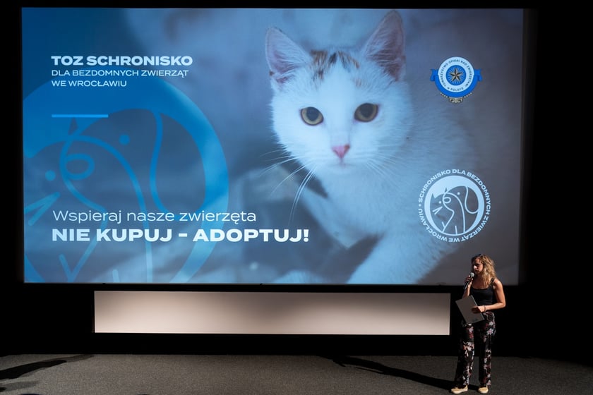 Premiera spotu adopcyjnego wrocławskiego schroniska dla bezdomnych zwierząt