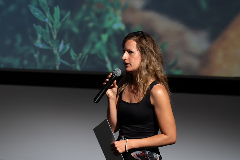 Premiera spotu adopcyjnego wrocławskiego schroniska dla bezdomnych zwierząt