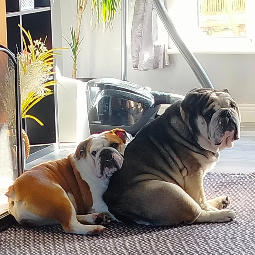 Double love from Wroclove 