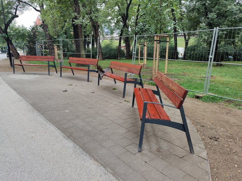 Skwer im. Aleksandry Natalii-Świat na wrocławskim Szczepinie po modernizacji