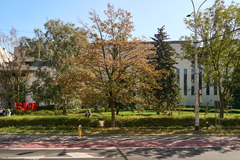 Pierwsze oznaki jesieni 2024 we Wrocławiu