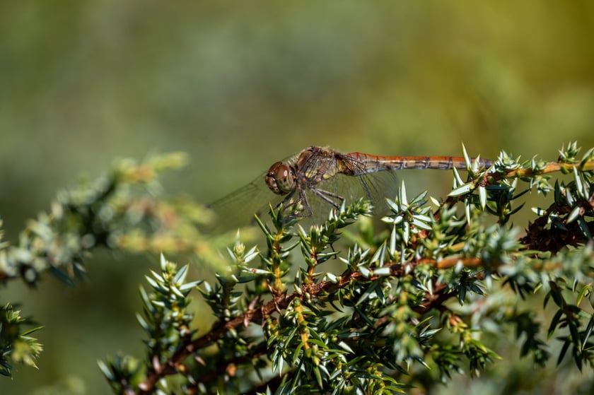 Ogr&oacute;d Botaniczny we wrześniu&nbsp;