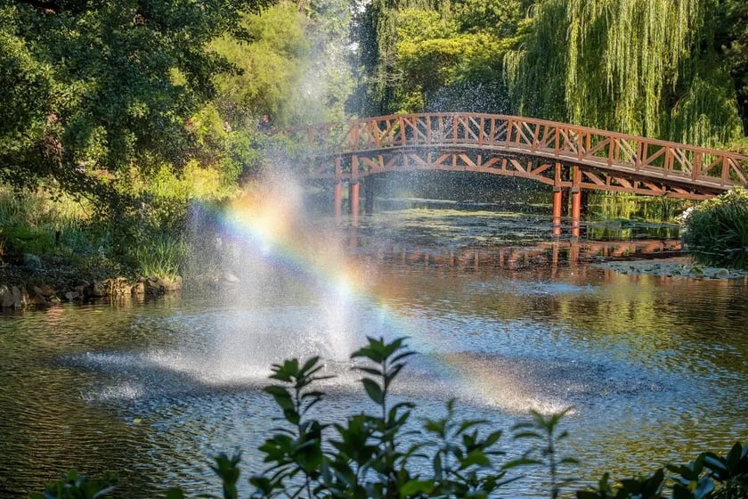 Ogr&oacute;d Botaniczny we wrześniu&nbsp;