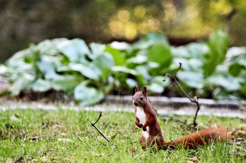 Ogr&oacute;d Botaniczny we wrześniu&nbsp;