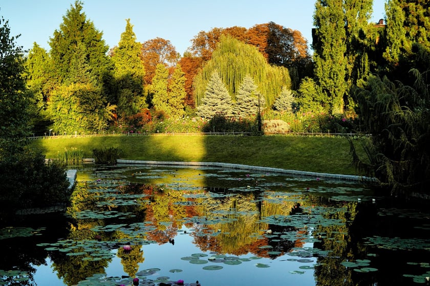 Ogr&oacute;d Botaniczny we wrześniu&nbsp;