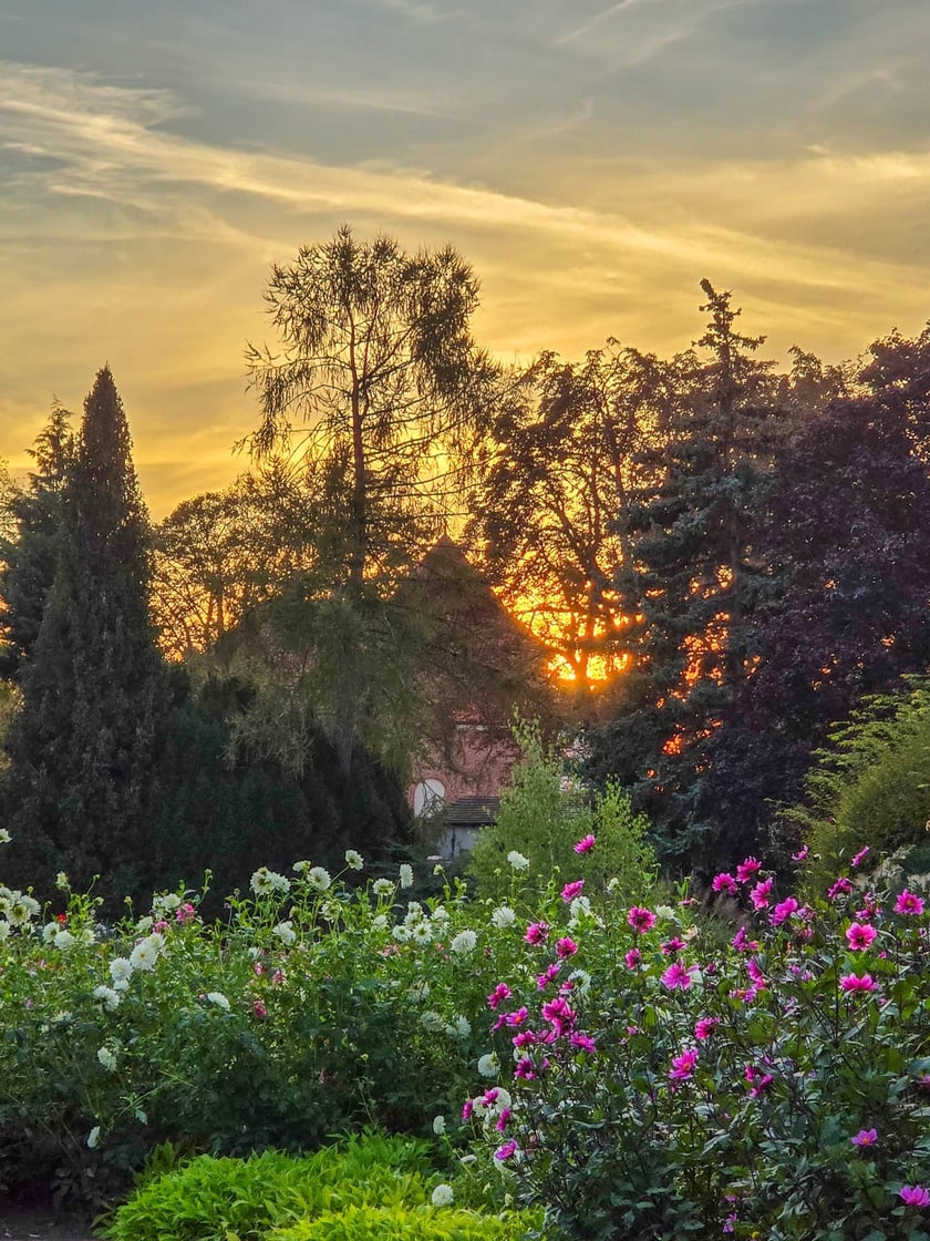 Ogr&oacute;d Botaniczny we wrześniu&nbsp;