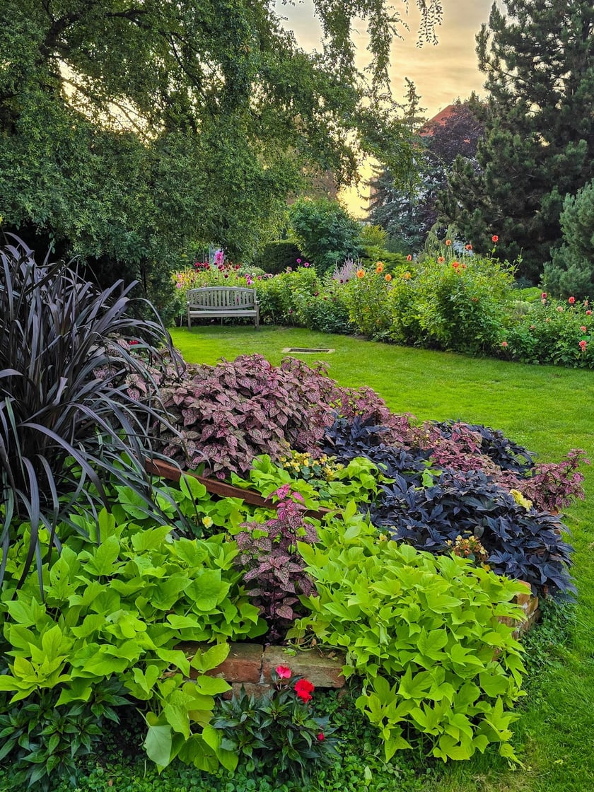 Ogr&oacute;d Botaniczny we wrześniu&nbsp;