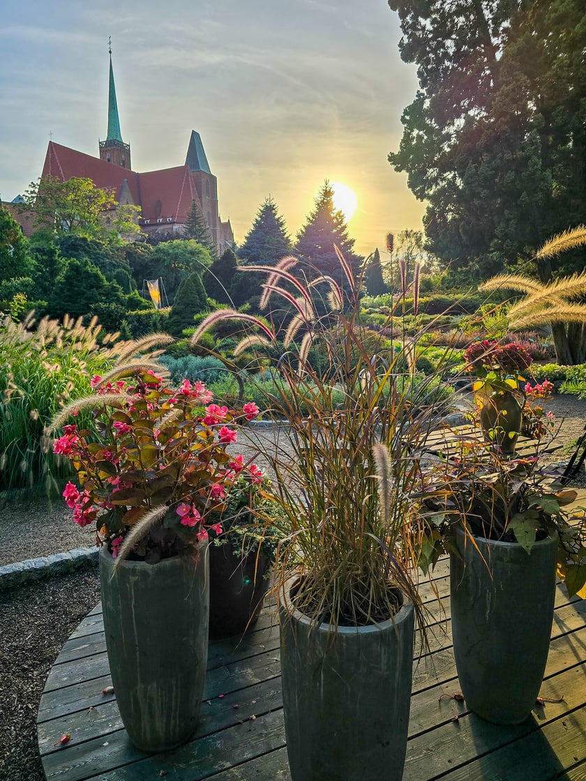 Ogr&oacute;d Botaniczny we wrześniu&nbsp;