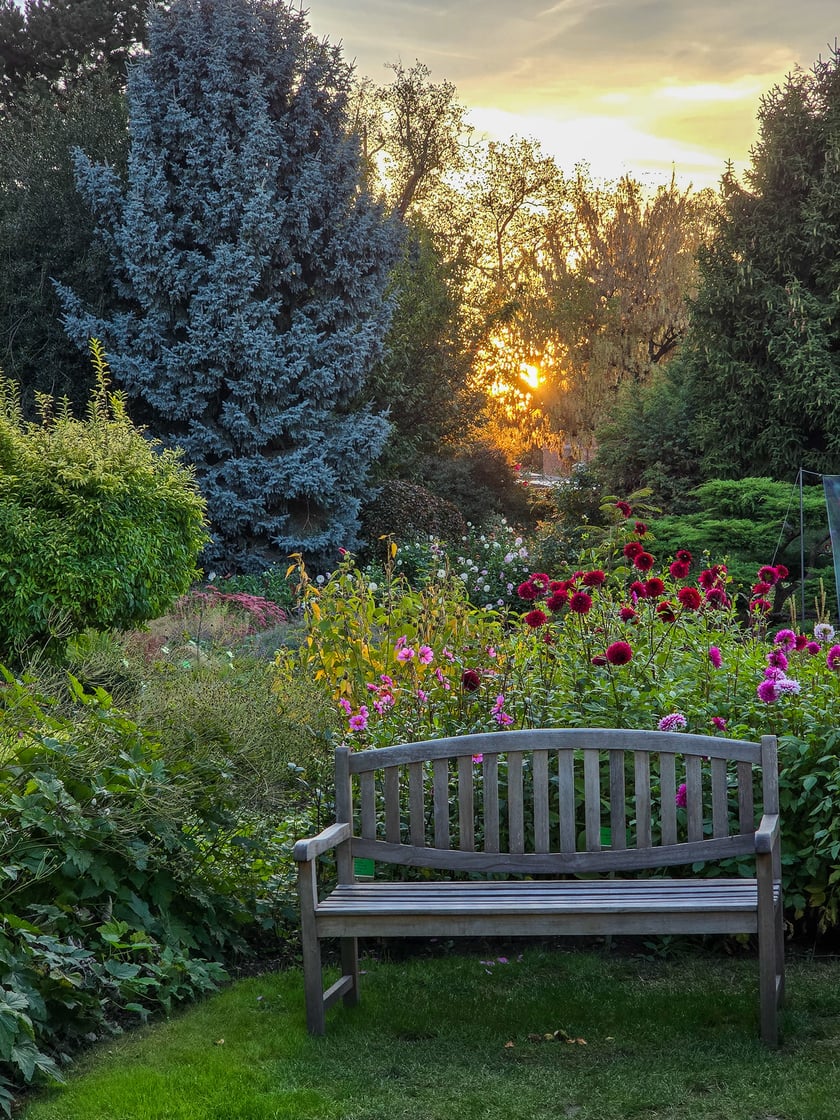 Ogr&oacute;d Botaniczny we wrześniu&nbsp;