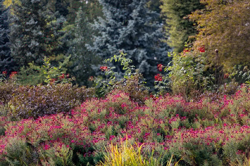 Arboretum Wojsławice jesienią