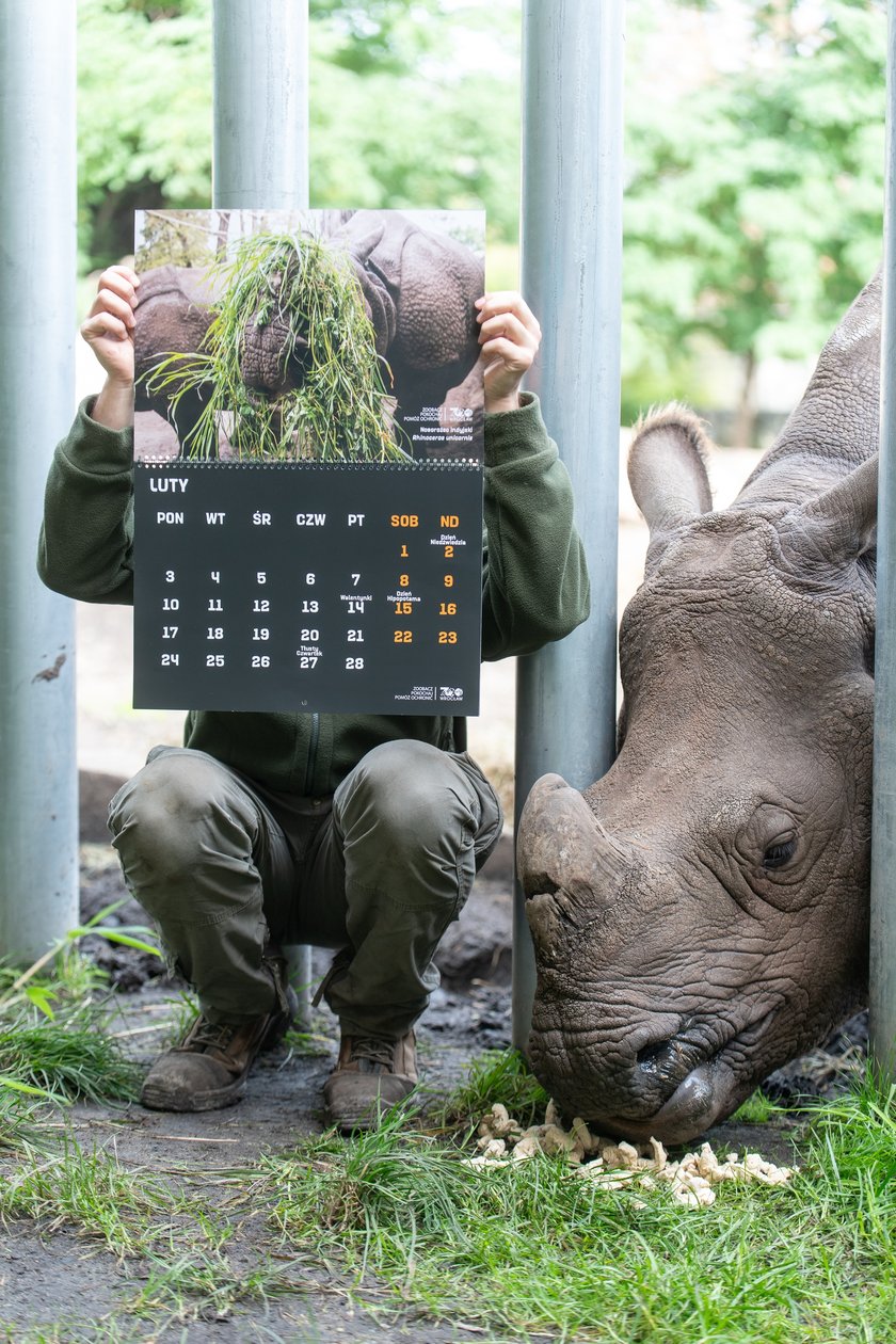 Pracownicy zoo z kalendarzem