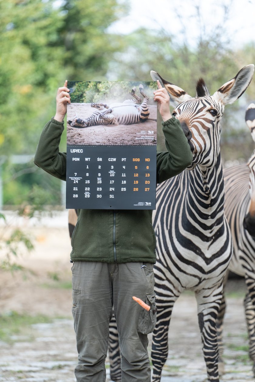Pracownicy zoo z kalendarzem