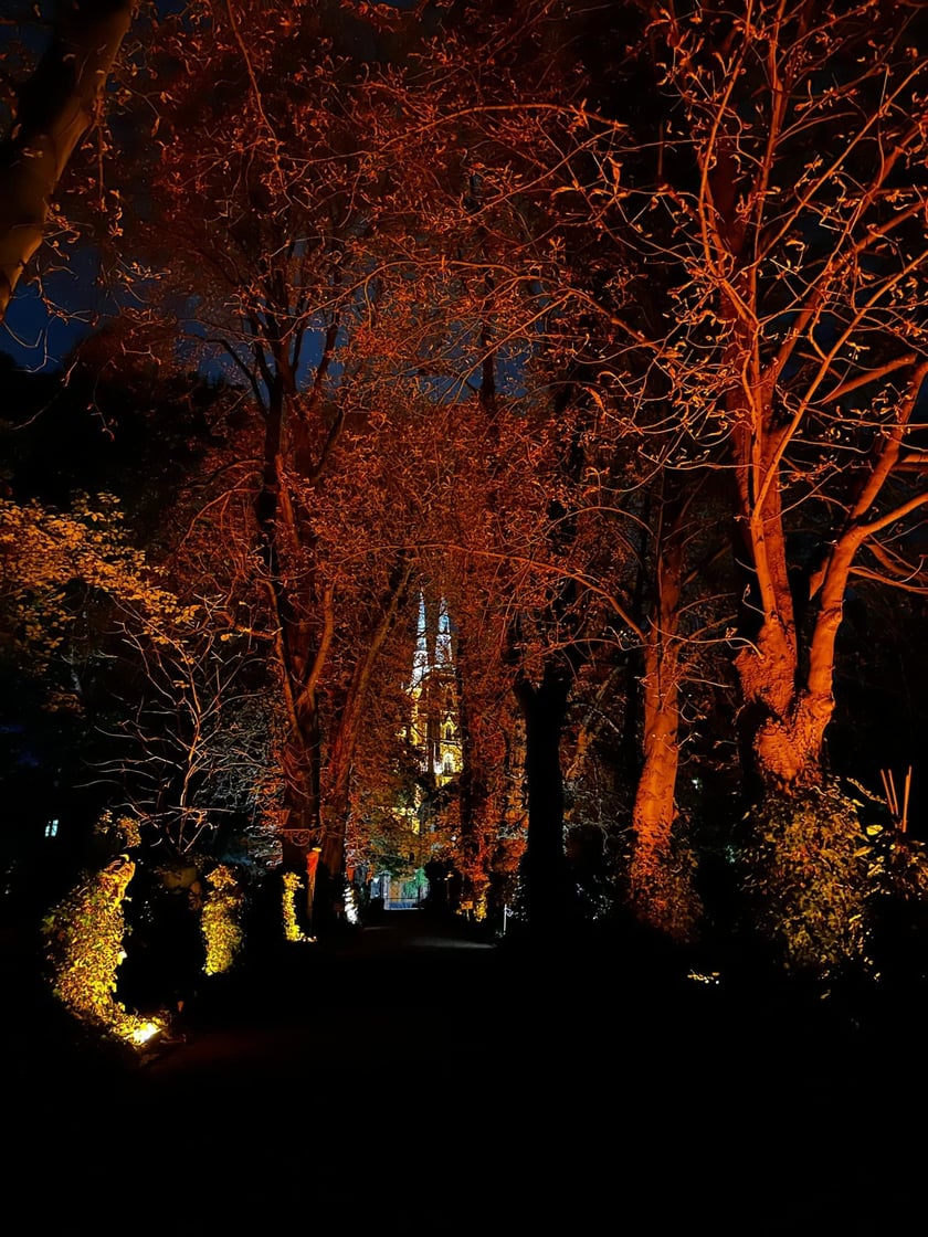 Wieczorne, dyniowe iluminacje w Ogrodzie Botanicznym