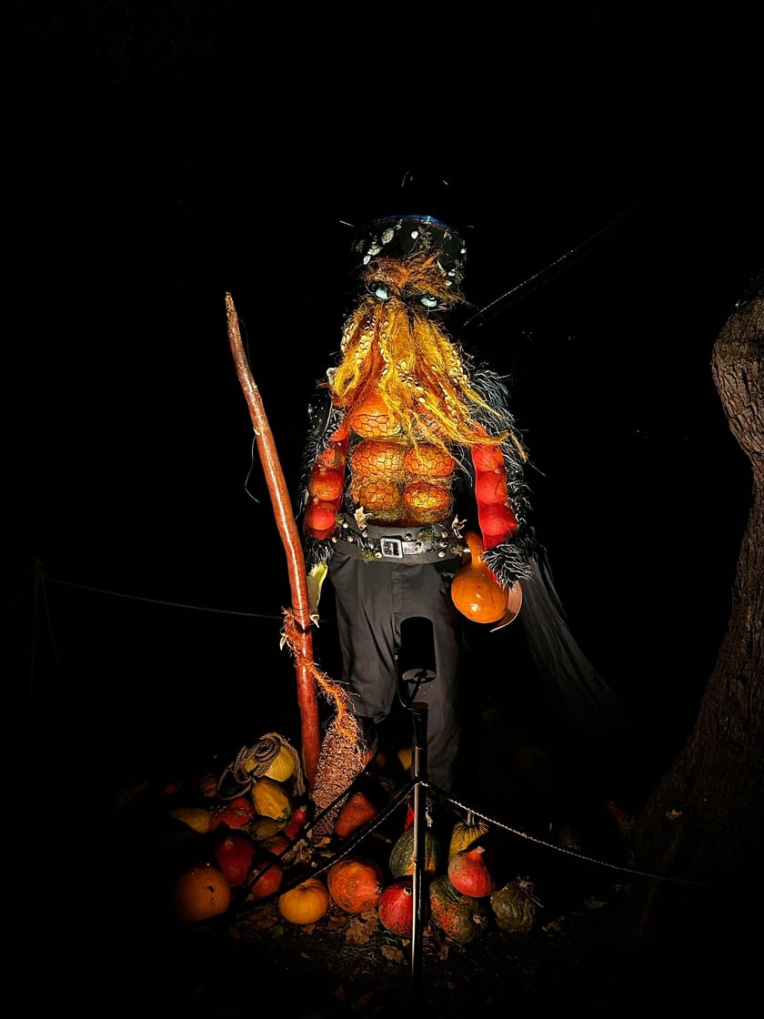 Wieczorne, dyniowe iluminacje w Ogrodzie Botanicznym
