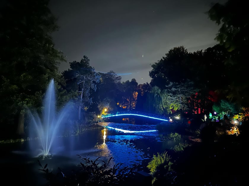 Wieczorne, dyniowe iluminacje w Ogrodzie Botanicznym