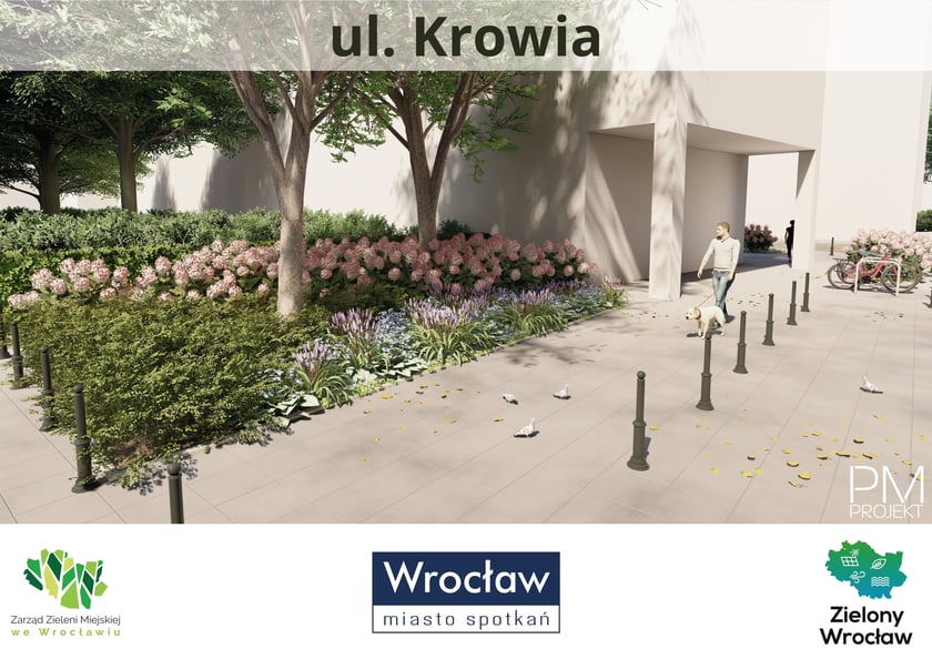 Ul. Krowia - po (wizualizacja)