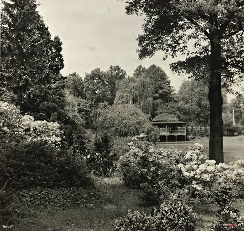 Ogr&oacute;d Japoński, lata 1930-1937