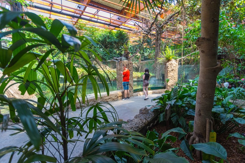 Afrykarium we wrocławskim zoo