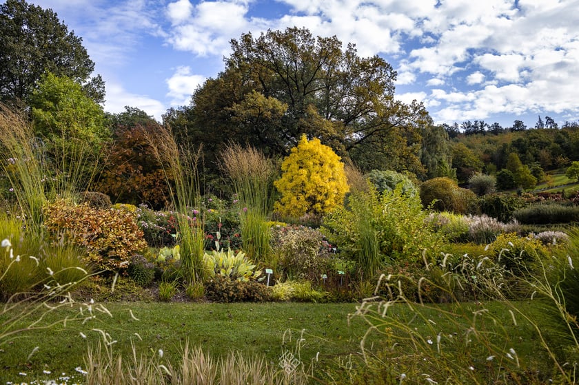 Arboretum Wojsławice jesienią